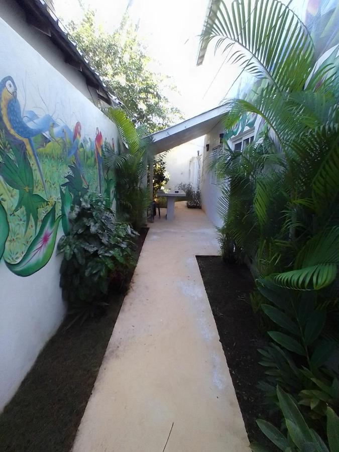 Beach Hotel Casa Nina 라스테레나스 외부 사진